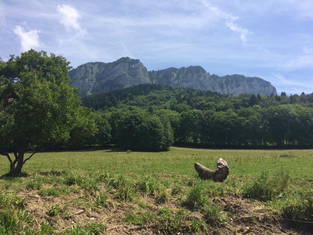 Les Balcons Du Leman Bed and Breakfast Thollon-les-Memises Εξωτερικό φωτογραφία